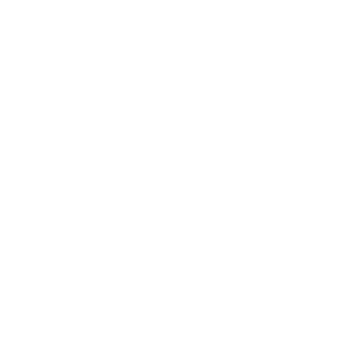 API Pentesting